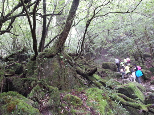 20130701_115326.jpg