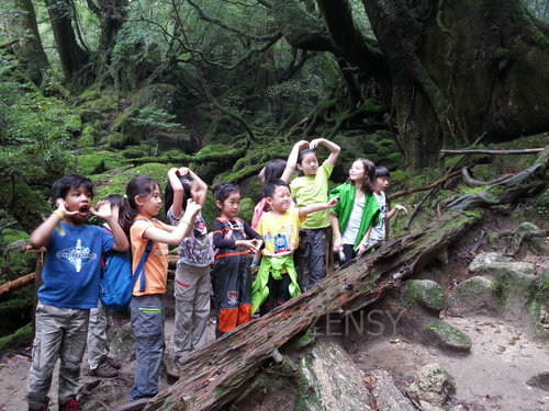 20130701_115635.jpg