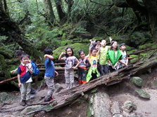 20130701_115714.jpg