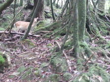 20130701_125708.jpg