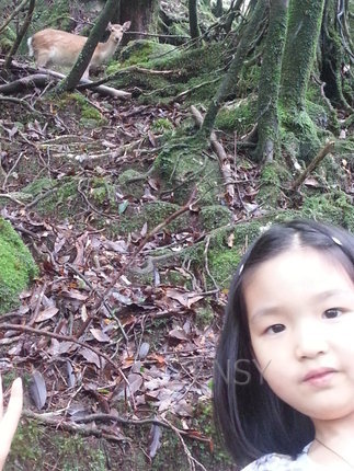 20130701_125721.jpg