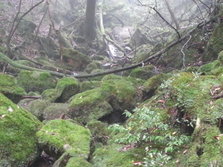 20130701_131157.jpg