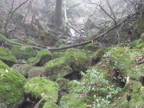 20130701_131157.jpg