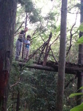 20130701_160539.jpg