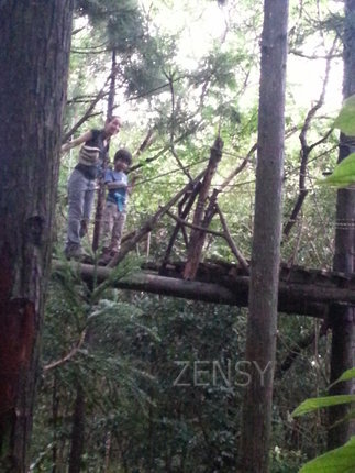 20130701_160539.jpg