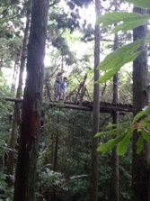 20130701_160544.jpg