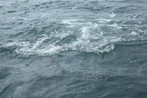 EO0A2263.JPG