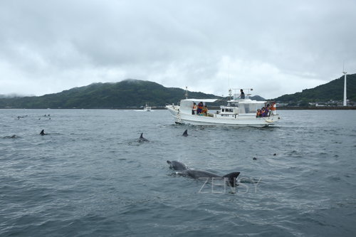 EO0A2358.JPG