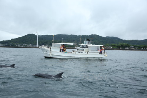 EO0A2378.JPG