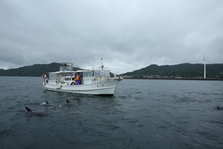 EO0A2437.JPG