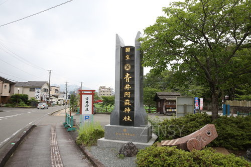 EO0A3264.JPG