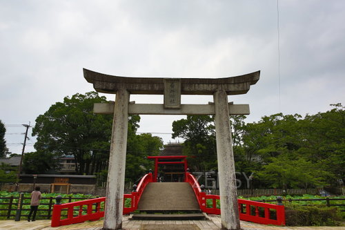 EO0A3274.JPG