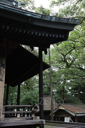 EO0A3338.JPG