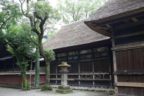 EO0A3347.JPG