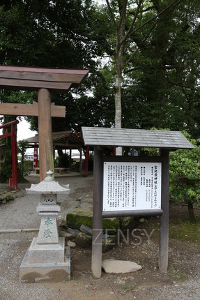 EO0A3348.JPG