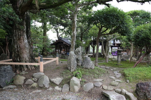 EO0A3381.JPG
