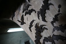 EO0A3177.JPG
