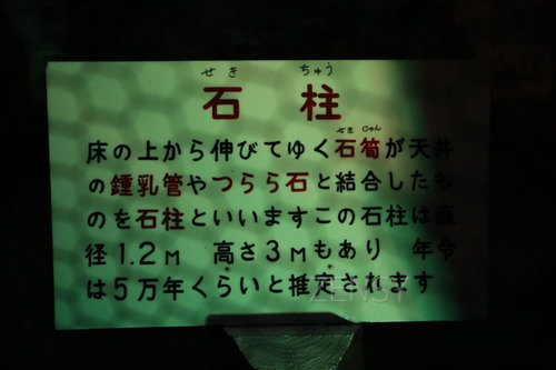 EO0A3195.JPG