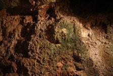 EO0A3206.JPG