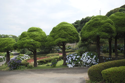 EO0A3531.JPG
