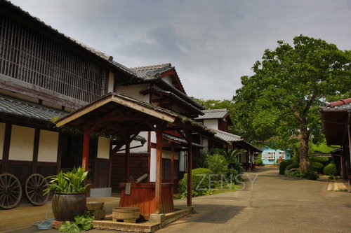 EO0A3650.JPG