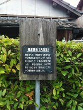 IMG_7196.jpg
