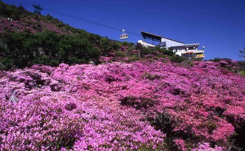 img357.jpg