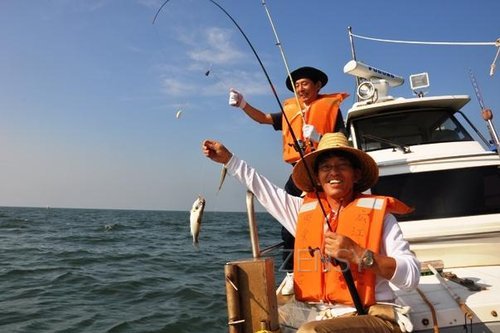 釣沙鮻限定6人,釣章魚限定8人,釣日本真鱸限定6人.