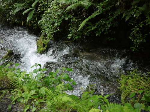 P1300477.JPG