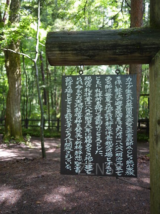 P1300505.JPG