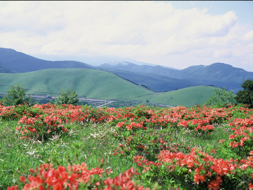 八子ヶ峰から車山高原を望む.JPG
