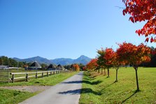 秋の中央高原.JPG