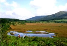 八島秋と人.jpg