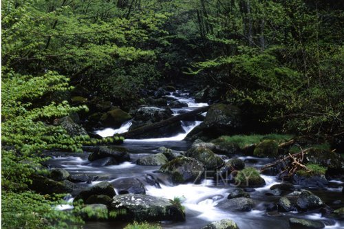 観音沢.jpg