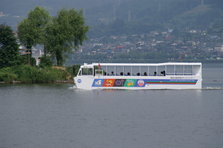 PICT8462.JPG