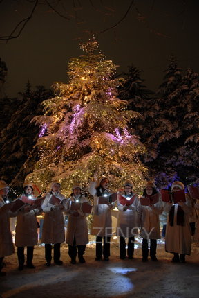 イルミネーション＆聖歌隊.jpg