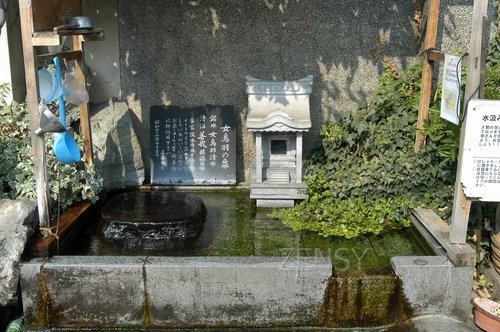 natural_springs (5).jpg