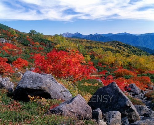 乘鞍岳　红叶.jpg