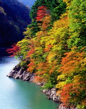前川渡.jpg