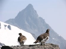 枪岳２.JPG