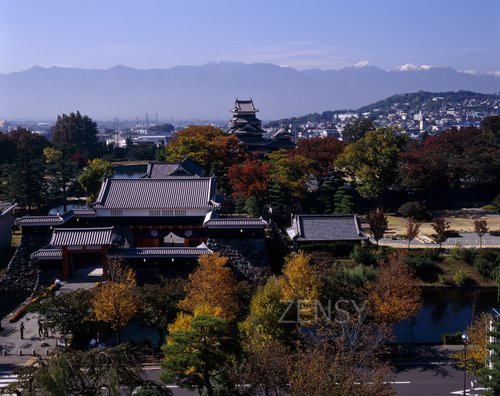 松本城　紅葉.jpg