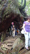 P1020841.JPG