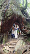 P1020842.JPG