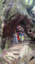 P1020843.JPG