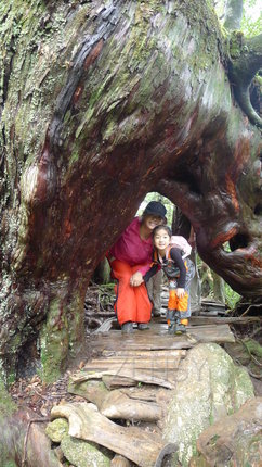 P1020846.JPG