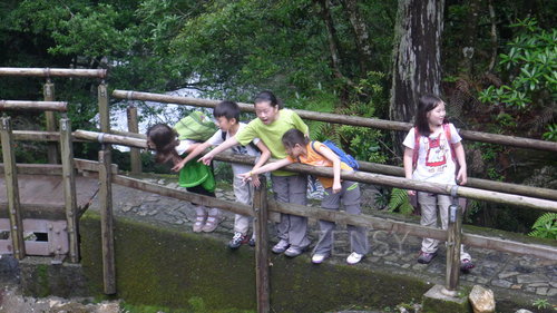P1020914.JPG