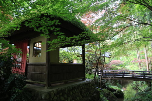 EO0A7186.JPG