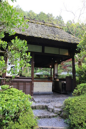 EO0A7224.JPG