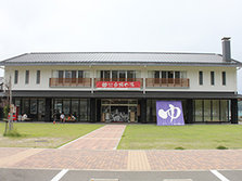 17.jpg