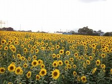 IMG_5109.jpg